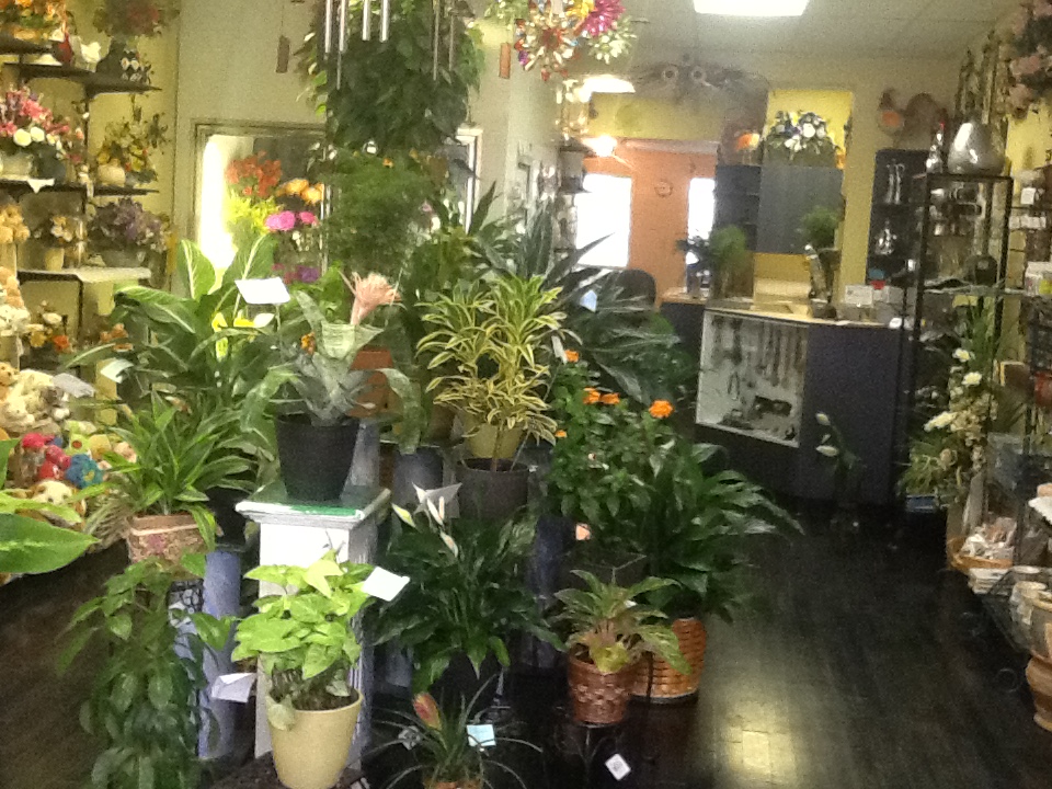 Fantaisie Florale 2000 | 1446 Rue Du Pont, Marieville, QC J3M 1G2, Canada | Phone: (450) 460-7171