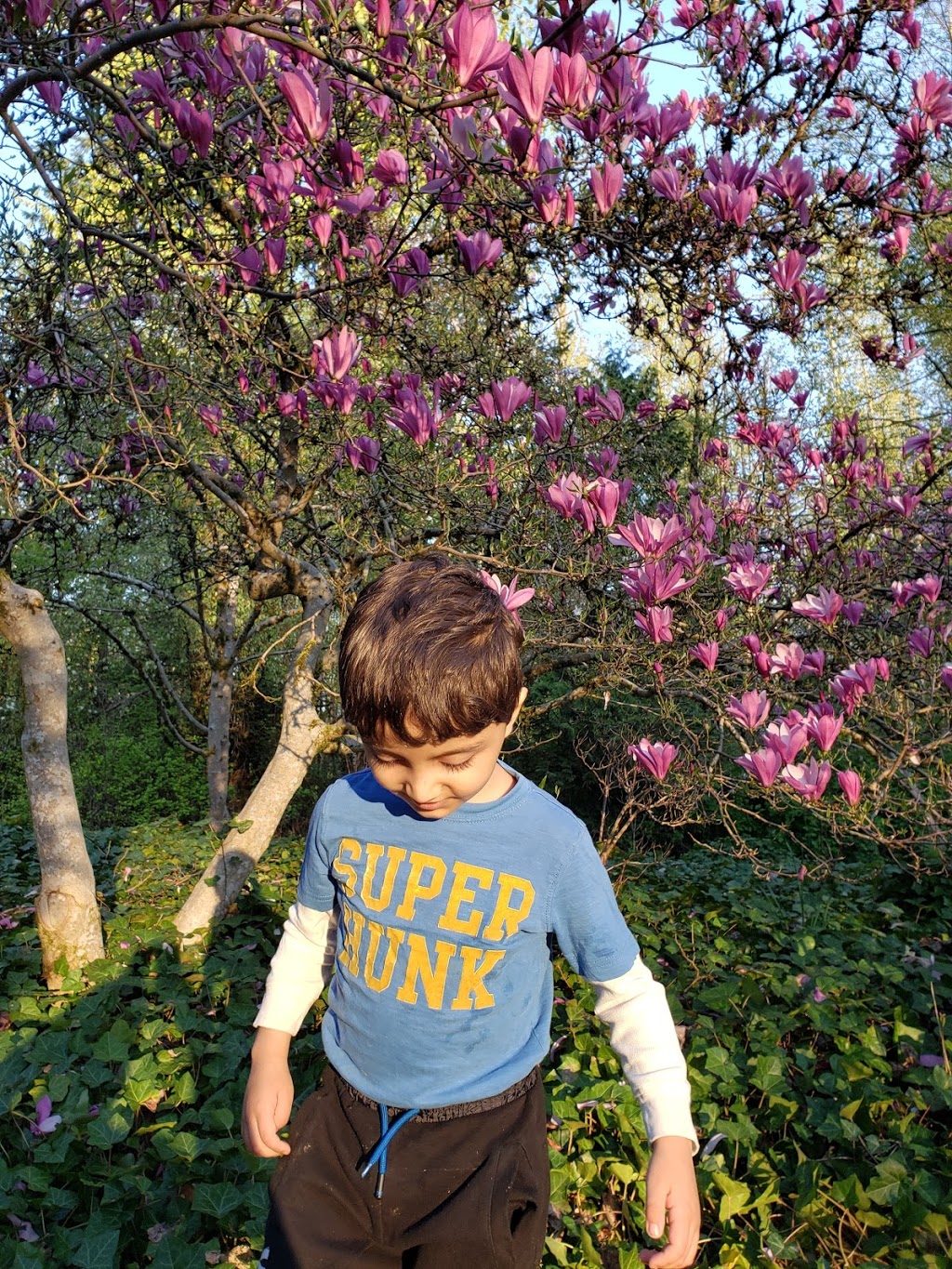 Bear Creek Park Playgrounds | Newton, Surrey, BC V3W 3L1, Canada | Phone: (604) 501-5050