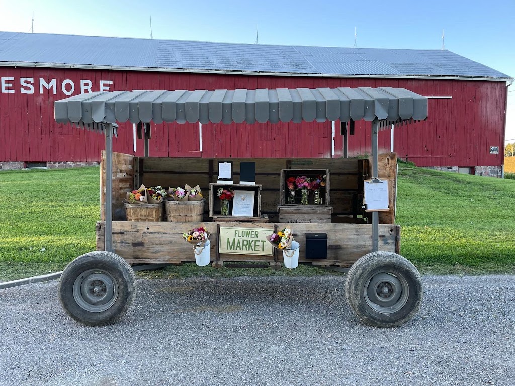 Meadowlark Flower Farm | 3059 Durham Regional Hwy 2, Clarington, ON L1C 3K5, Canada | Phone: (905) 431-6248