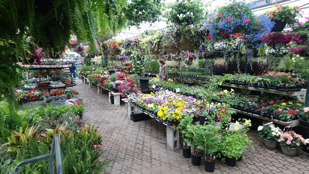 The Living Outdoors Ltd | 486 Main St, Cambridge, ON N1R 5S7, Canada | Phone: (519) 622-1861