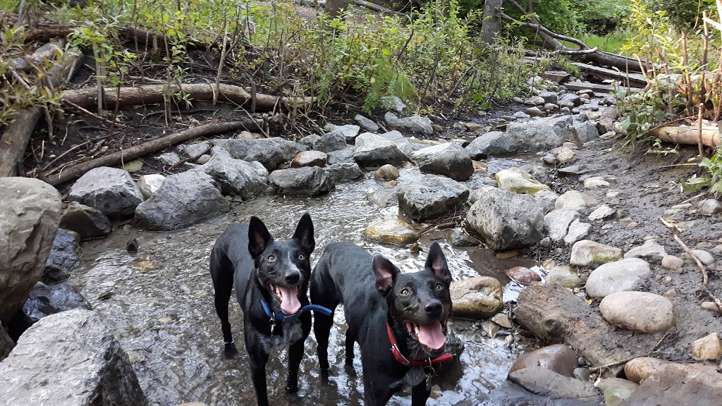 Shaganappi Off Leash Area | 1418 25a St SW, Calgary, AB T3C 1J8, Canada