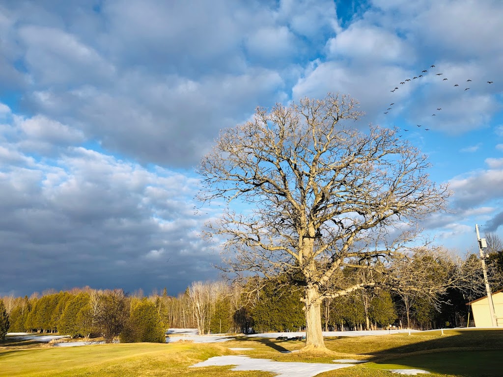 Richmond Centennial Golf Course | 3797 Joys Rd, Richmond, ON K0A 2Z0, Canada | Phone: (613) 838-4791