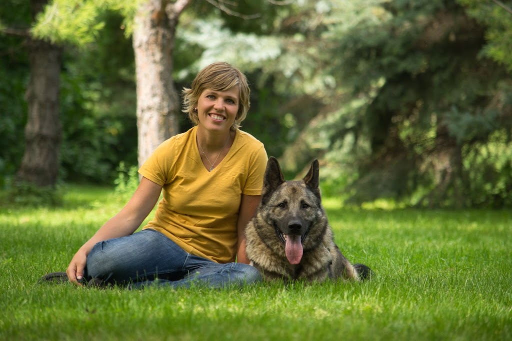 Calm Canine Dog Training | Rd 31W, Graysville, MB R0G 0T0, Canada | Phone: (204) 242-4883