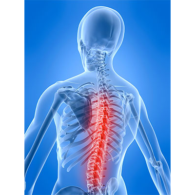Dr. Michael G. Robbins | 9704 McCowan Rd, Markham, ON L3P 3J3, Canada | Phone: (905) 471-6696