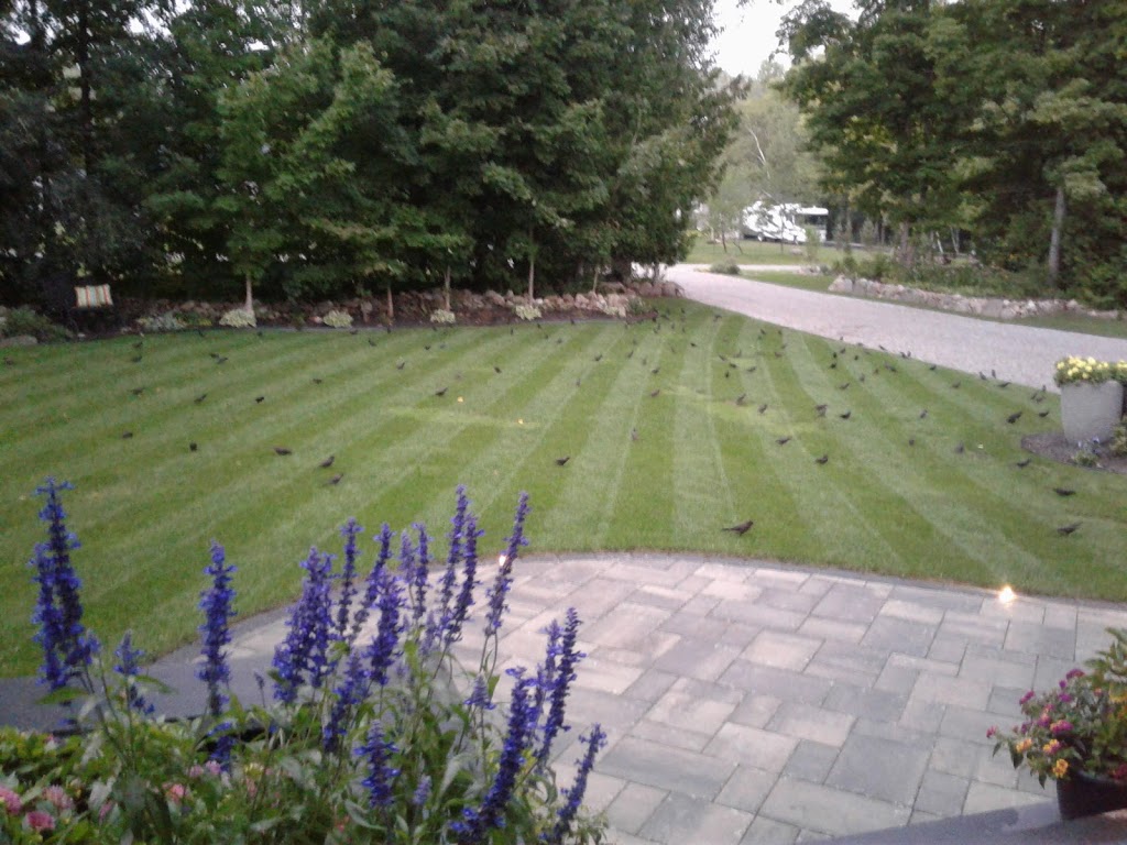 The Lawn Ladd | 1607 Rimkey Cres, Severn, ON L3V 0E9, Canada | Phone: (705) 818-9720