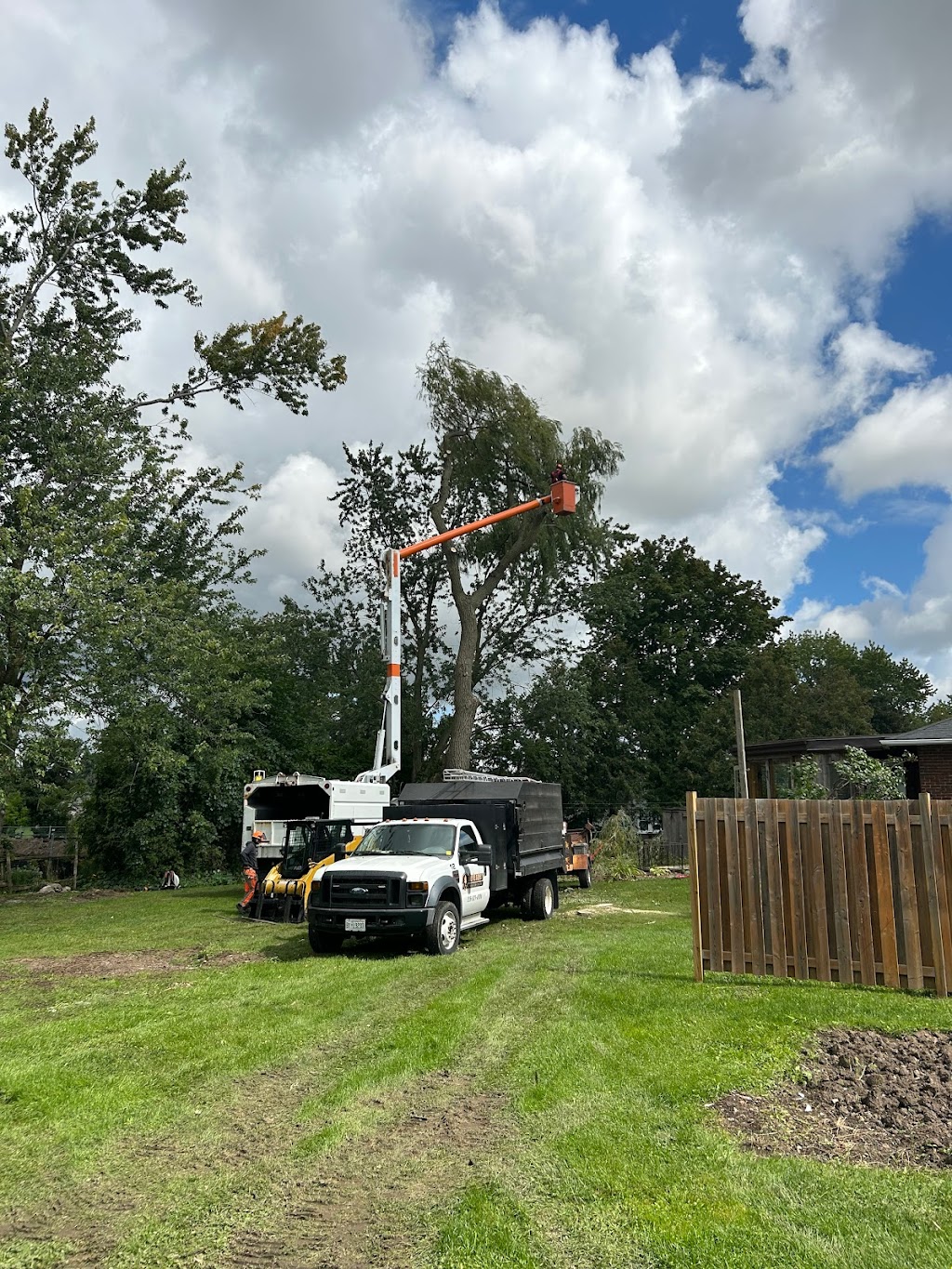 Defender Tree Service Ltd | 40385 Hensall Rd, Hensall, ON N0M 1X0, Canada | Phone: (226) 921-4986