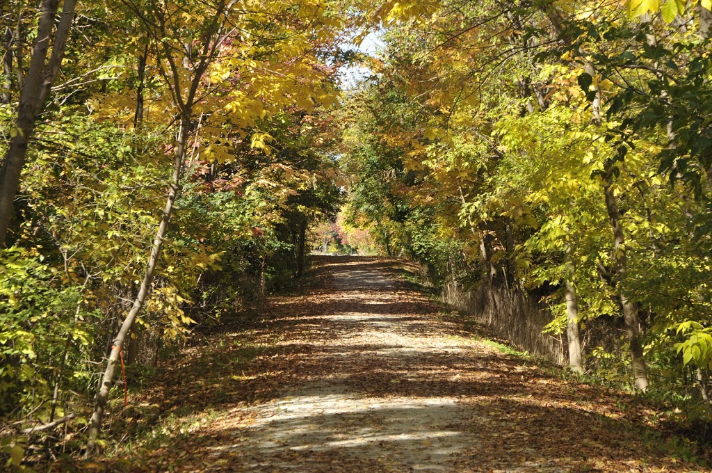 Craigleith Shores | 209472 ON-26, The Blue Mountains, ON L9Y 0N1, Canada | Phone: (888) 326-0105