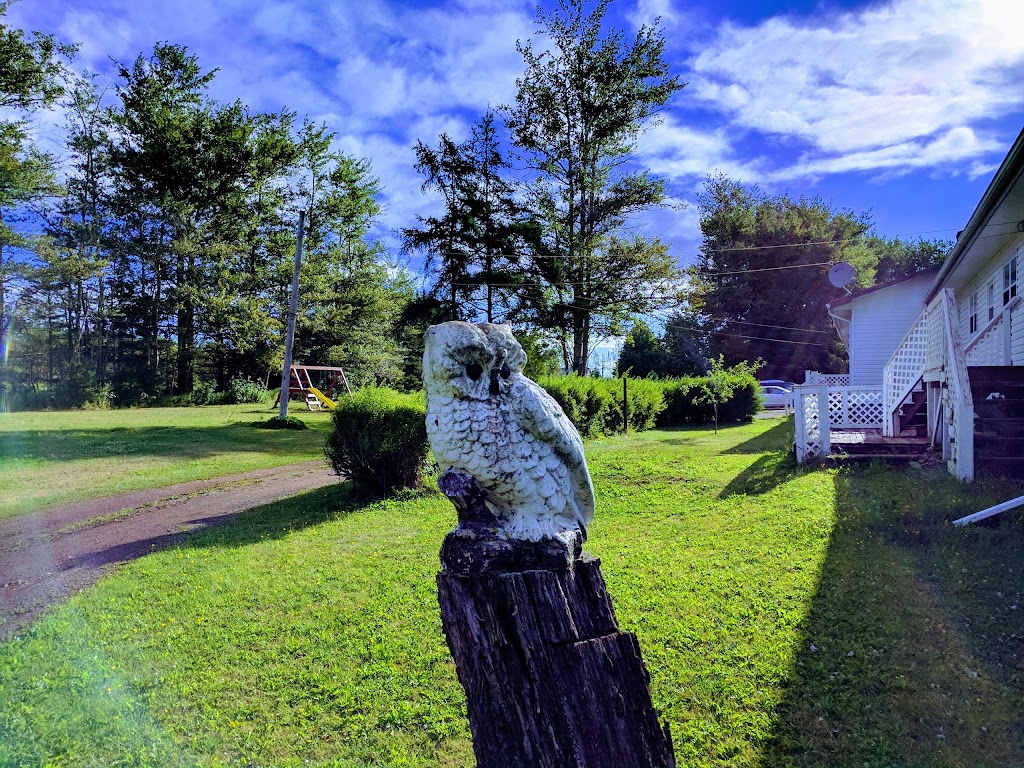Carleton Motel & Coffee Shop | 23650 Trans-Canada Hwy, Borden-Carleton, PE C0B 1X0, Canada | Phone: (902) 437-3030