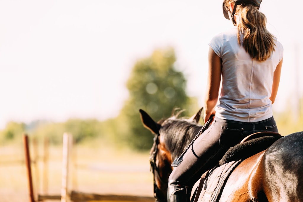 Paradise Acres Ranch | 26212 Township Rd 552, Sturgeon County, AB T8R 2E1, Canada | Phone: (780) 805-6073