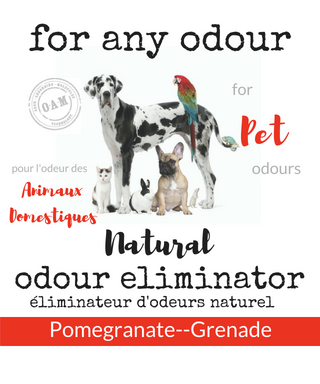 For Any Odour | 200 Bridgewater Ave, Whitby, ON L1R 1X3, Canada | Phone: (289) 314-7900