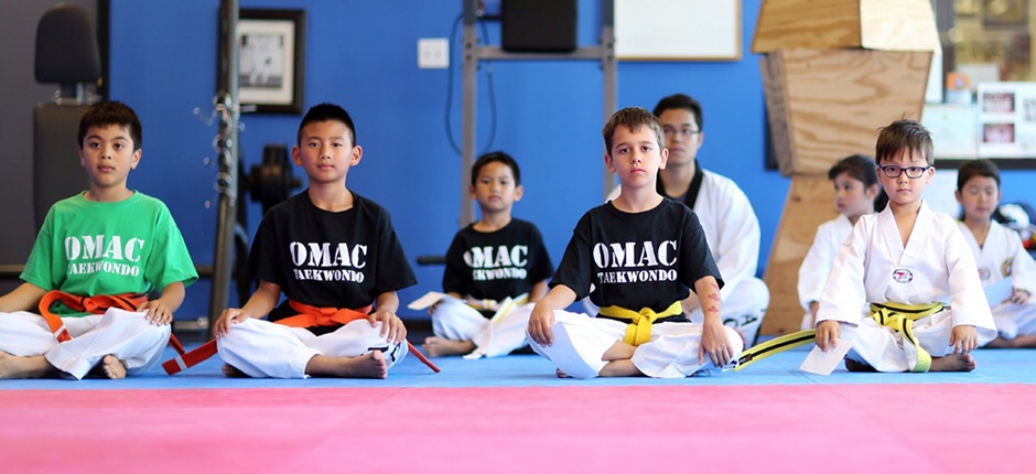 OMAC Taekwondo | 842 12th St, New Westminster, BC V3M 4K3, Canada | Phone: (604) 526-2309