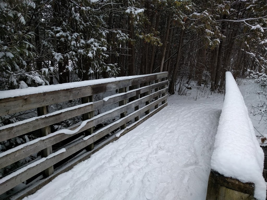 Alexander Grove Park | 10 Warner-Colpitts Ln, Stittsville, ON K2S 1V7, Canada | Phone: (613) 580-2595