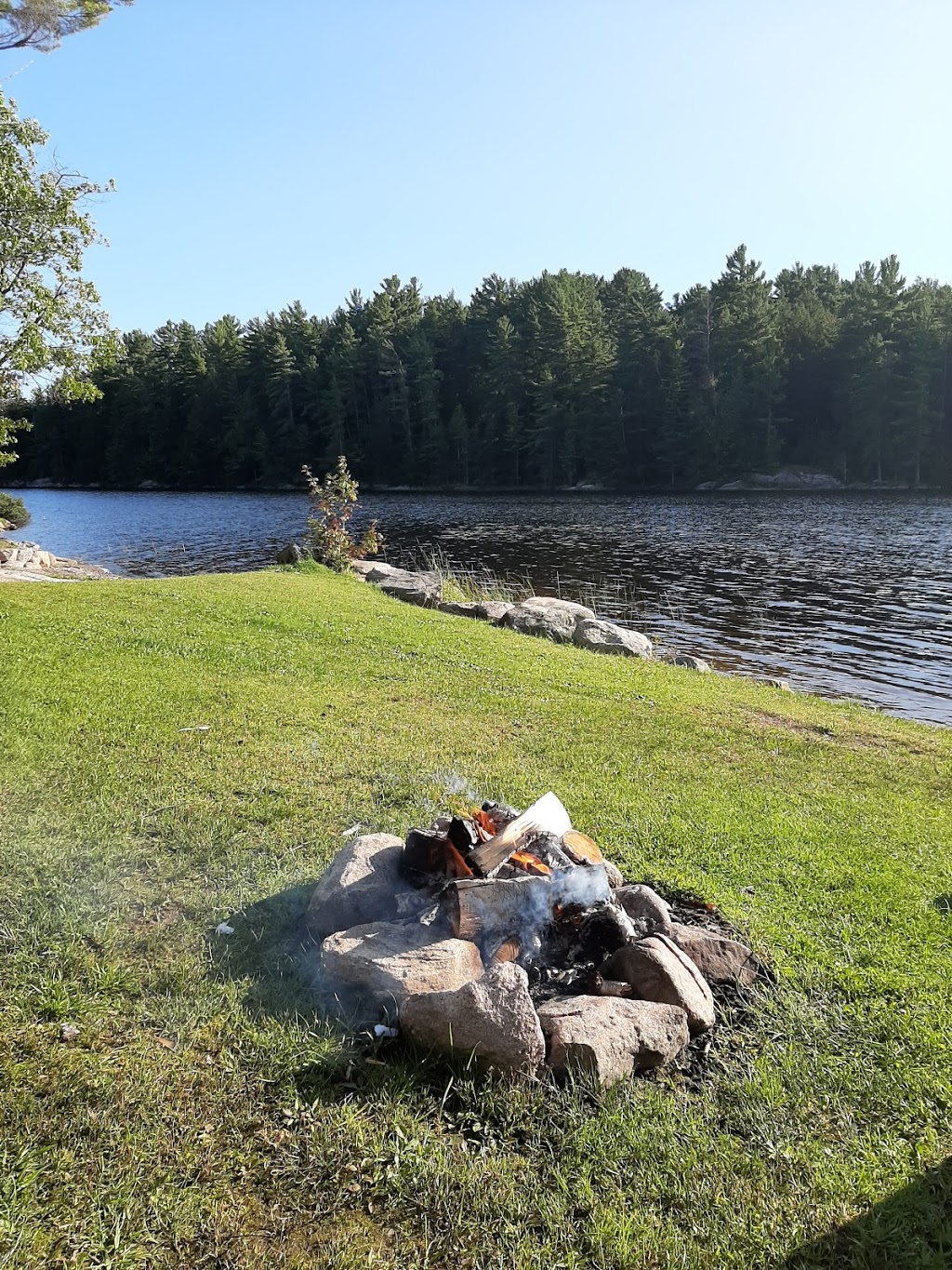 Shebe Resort | 80 Shebeshekong Rd, Carling, ON P0G, Canada | Phone: (705) 342-5263