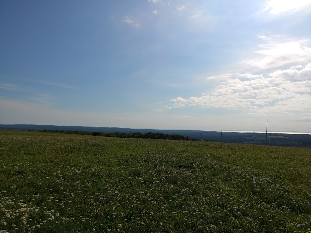 Mabou Ridge Farm | Mabou Station, NS B0E 1X0, Canada | Phone: (902) 945-2248