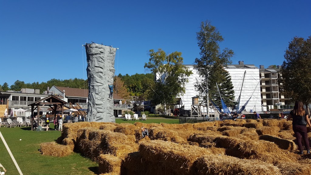 Horseshoe Adventure Park | 21 Birch Grove Dr, Barrie, ON L4M 4Y8, Canada | Phone: (800) 461-5627