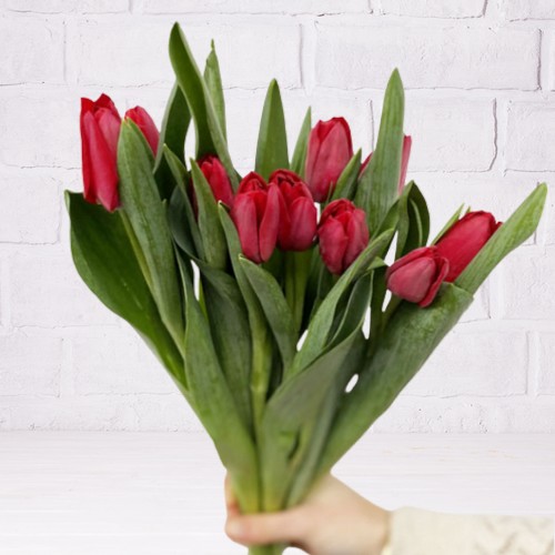 Fleuriste À la Claire Fontaine | 400 Av. de Grand-Mère, Grand-Mère, QC G9T 2H2, Canada | Phone: (819) 533-5387