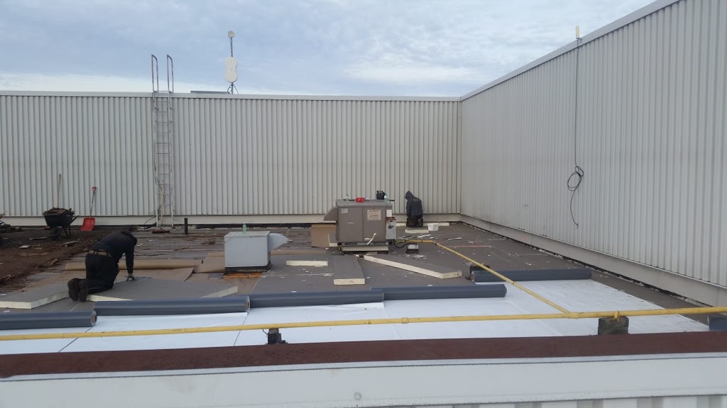 Roof.to | 97 Gledhill Ave, Toronto, ON M4C 5K7, Canada | Phone: (647) 801-0837