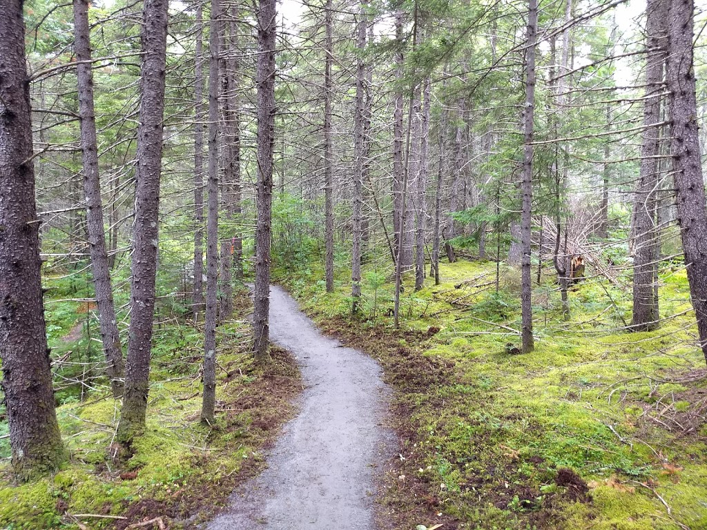 Moose Bog | Island Pond, VT 05846, USA