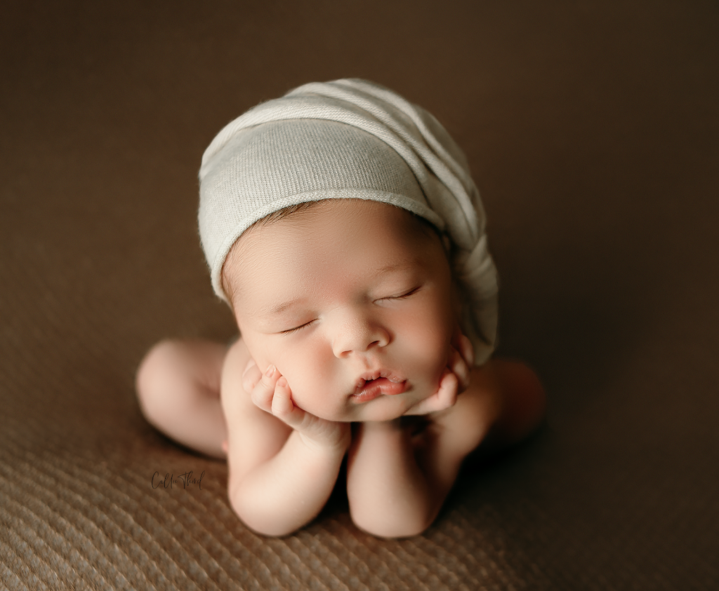 Callie Third Photography | NE23 32 15 W2, Wynyard, SK S0A 4T0, Canada | Phone: (306) 560-7740