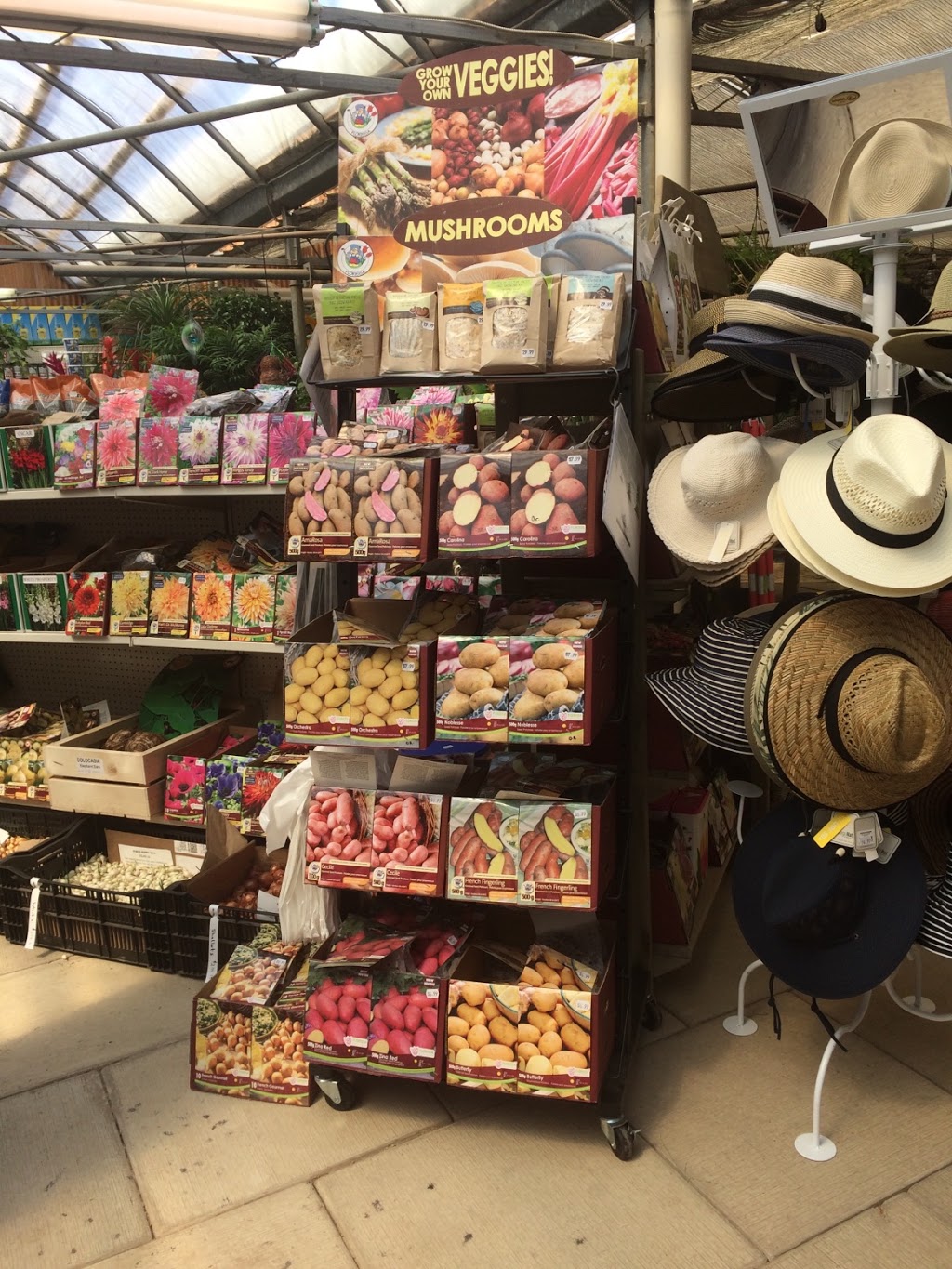 Glen Echo Nurseries Inc | 15070 Airport Rd, Caledon East, ON L7C 2X9, Canada | Phone: (905) 584-9973