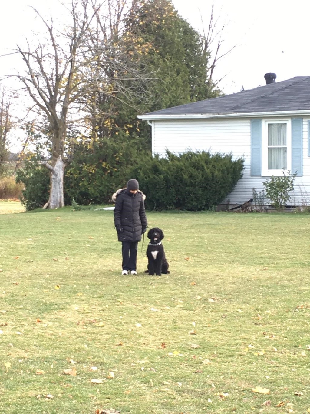 Wolfman K9 Obedience | 12739 Winston Churchill Blvd, Caledon, ON L7C 1S3, Canada | Phone: (289) 924-1550