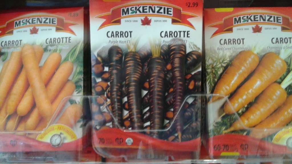 Walmart Saint-Hyacinthe Store | 5950 Rue Martineau, Saint-Hyacinthe, QC J2R 2H6, Canada | Phone: (450) 796-4001