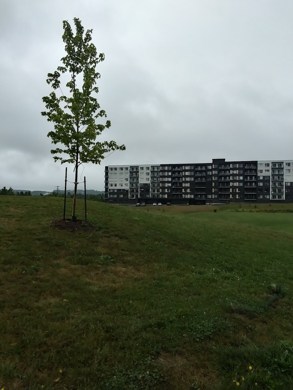 The Sterling Apartments | 451 Broad St, Bedford, NS B4B 2E4, Canada | Phone: (902) 706-4024