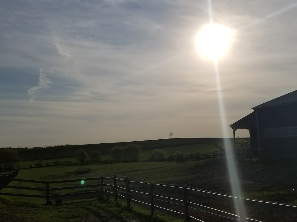 Chestnut Hill Stables | 12510 Concession Rd 7, Leaskdale, ON L0C 1C0, Canada | Phone: (416) 550-3695