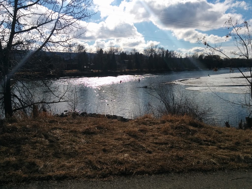 Bow River Park Vista Point | Varsity, Calgary, AB T3B 1C3, Canada