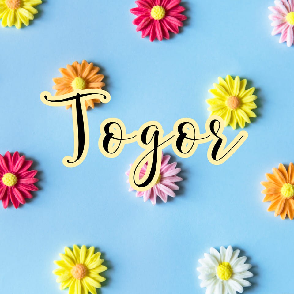 Togor | 221 Lady Russell St, Moncton, NB E1E 0C5, Canada | Phone: (506) 232-3847