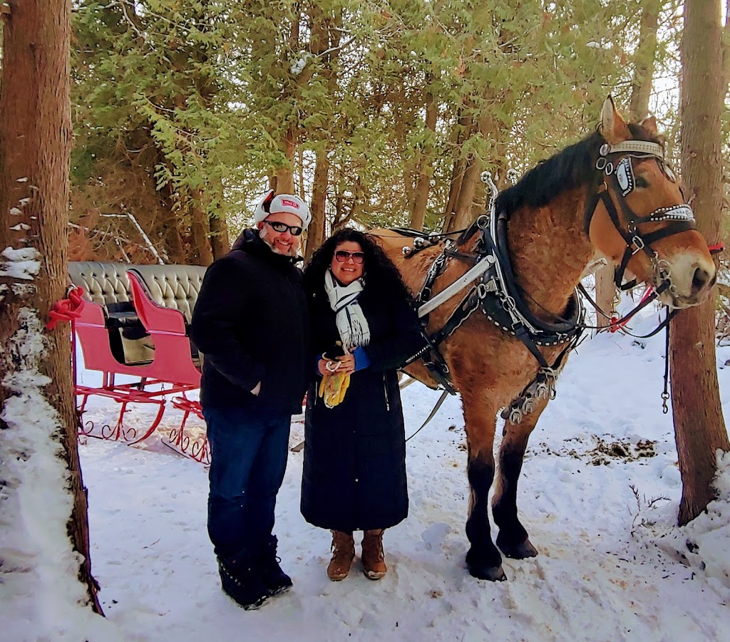 Fairytale Horse and Carriage | 473262 Dufferin County Road 11, Laurel, ON L0N 1L0, Canada | Phone: (416) 737-2860