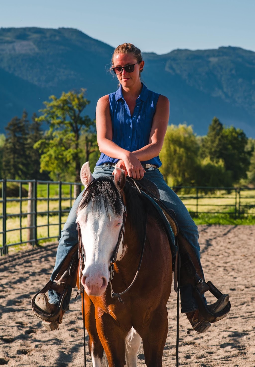 Jim Greendyk Performance Horses | 49815 Chilliwack Central Rd, Chilliwack, BC V2P 6H3, Canada | Phone: (604) 217-7700