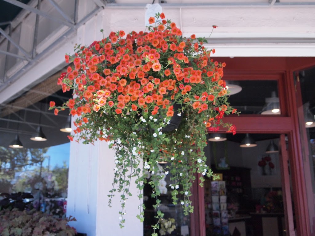 Flower Vancouver | 3284 E Georgia St, Vancouver, BC V5K 2L3, Canada | Phone: (604) 417-4466