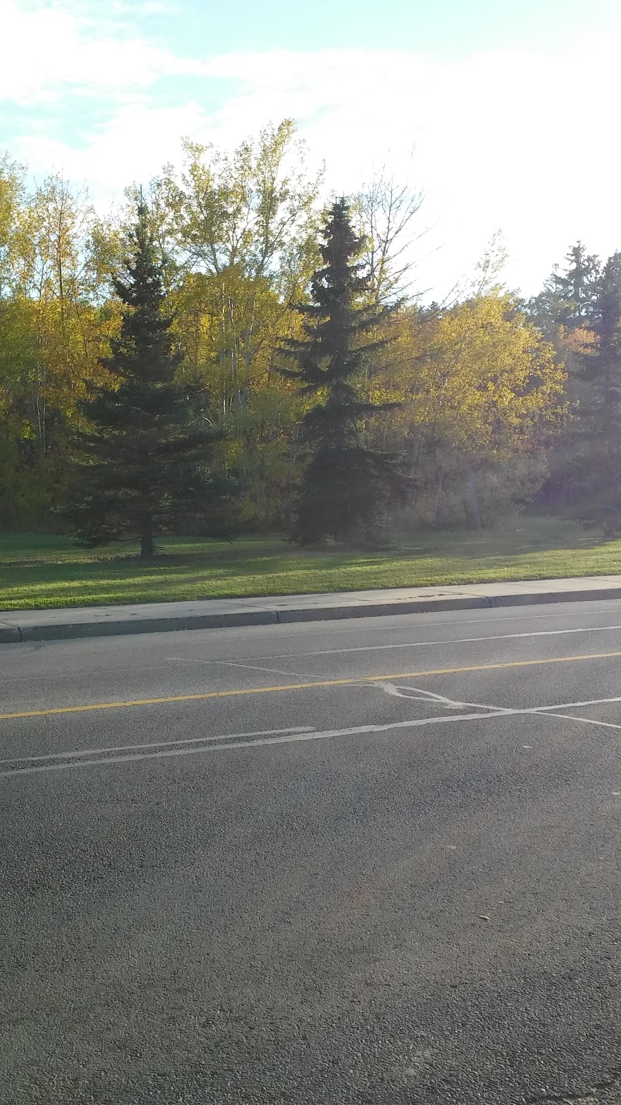 Annie May Jackson Park | Jackson Rd NW, Edmonton, AB T6L 7H2, Canada