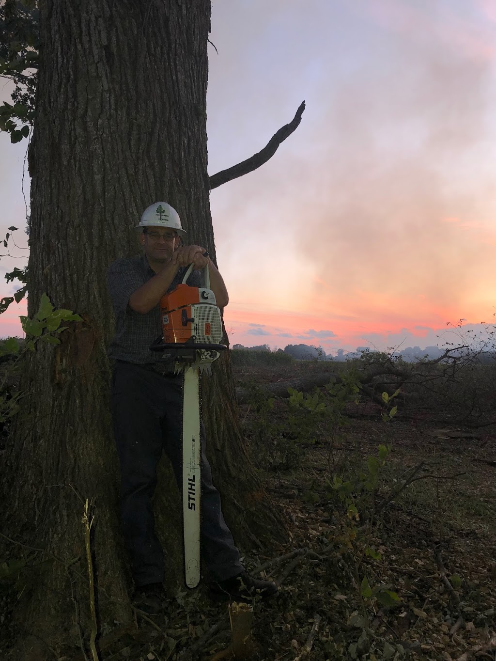 Florapine Tree Service Inc. | 8768 ON-6, Arthur, ON N0G 1A0, Canada | Phone: (519) 669-1836