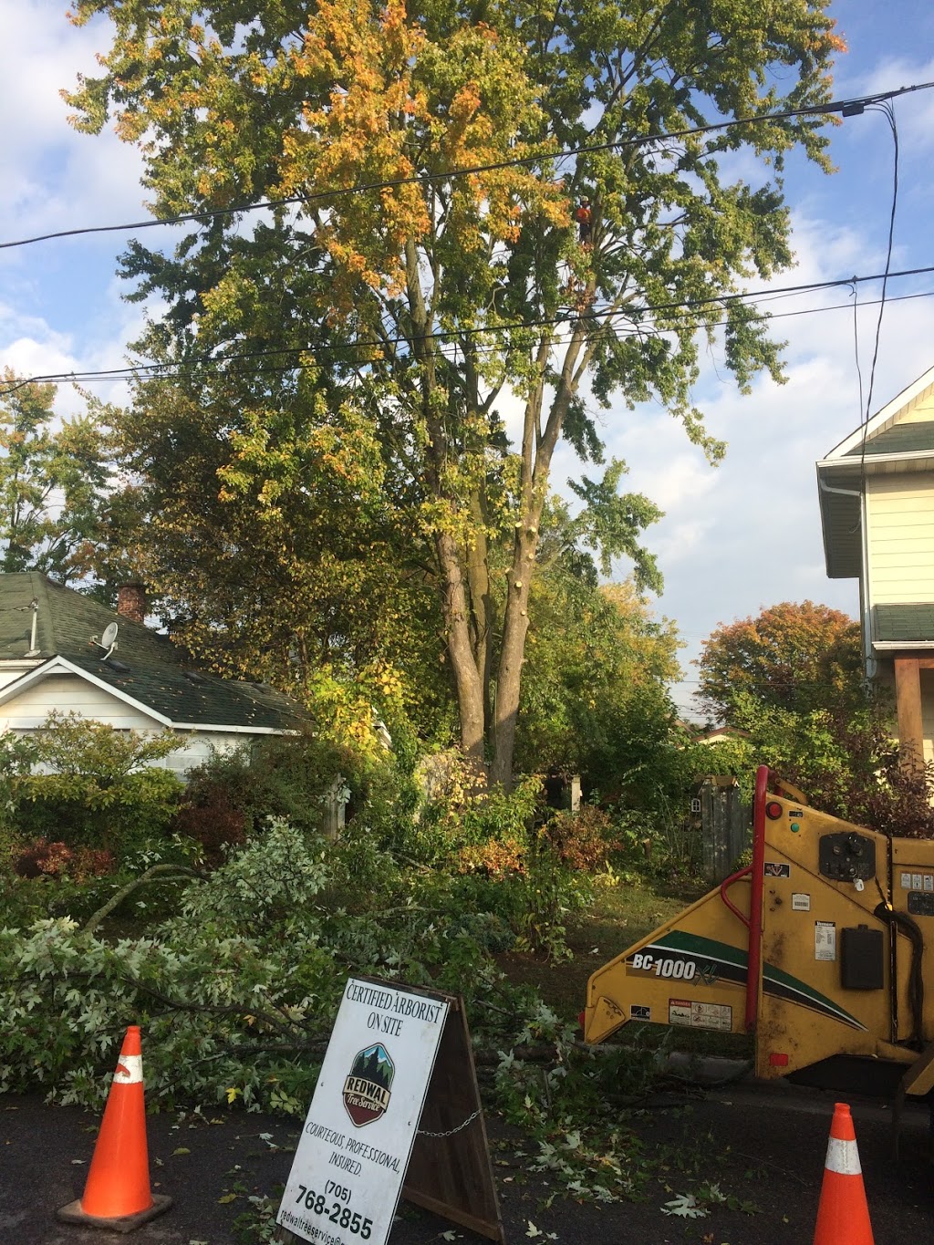 REDWAL Tree Service | 44 Riverview Dr, Omemee, ON K0L 2W0, Canada | Phone: (705) 768-2855