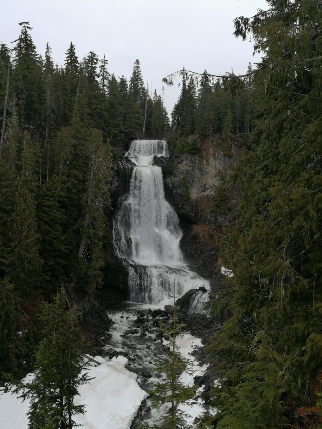 Whistler Bear Tours | 2230 Eva Lake Rd, Whistler, BC V8E 0M5, Canada | Phone: (604) 966-7385