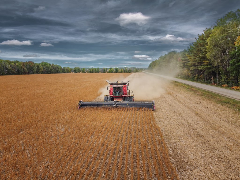 RM lang farm | 45 Chem. Hanna C, Shawville, QC J0X 2Y0, Canada | Phone: (613) 324-0133