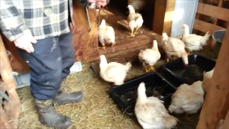 Blacks Bay Farm | 576 Fire Hall Rd, Providence Bay, ON P0P 1T0, Canada | Phone: (705) 377-4039