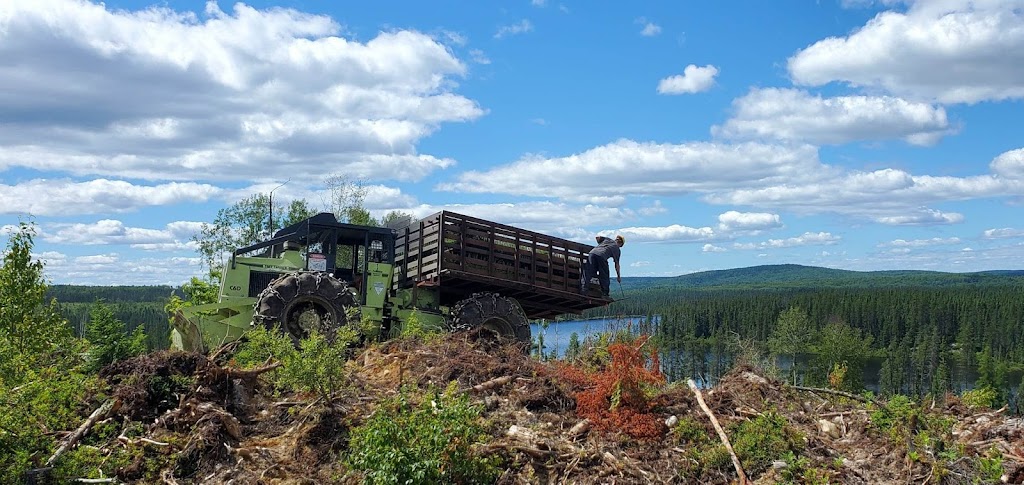 Massinak | 1132 Rue Ouiatchouan, Mashteuiatsh, QC G0W 2H0, Canada | Phone: (418) 618-3595