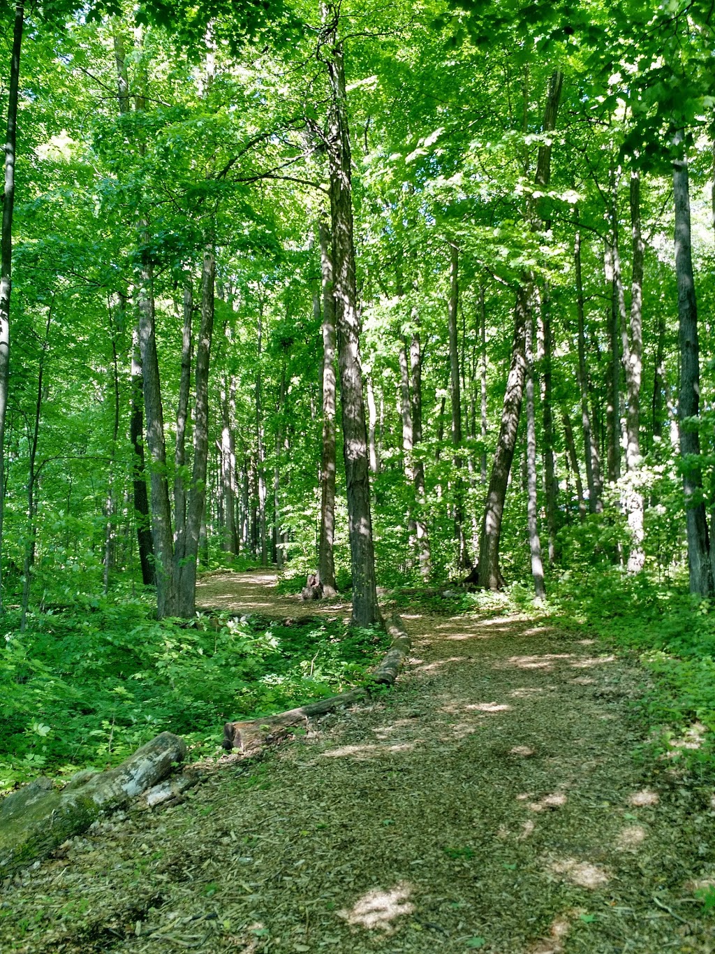 West Ridge Park | 900 W Ridge Blvd, Orillia, ON L3V 7X1, Canada