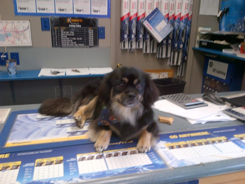 South Shore Tire & Automotive | 208 Dufferin St, Bridgewater, NS B4V 2G7, Canada | Phone: (902) 527-2222