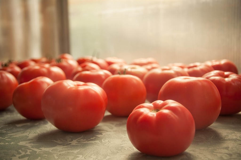 Jardi-fruits dantan - Ferme maraîchère sans pesticides | 555 Chemin Roarke, Saint-Denis-de-Brompton, QC J0B 2P0, Canada | Phone: (819) 846-4921