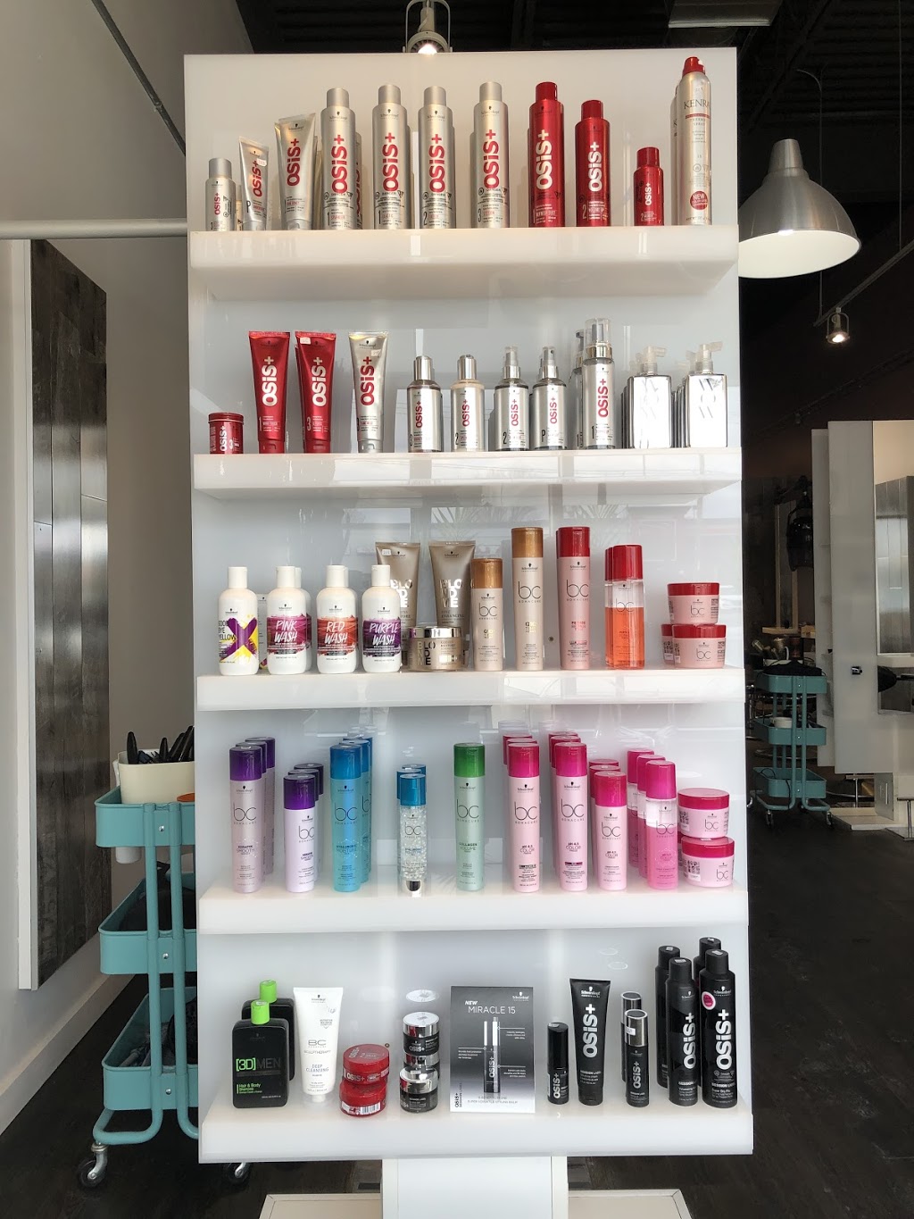 Coiffure Planet Hair | 3819 Boulevard Saint-Martin O, Laval, QC H7T 1B2, Canada | Phone: (450) 973-1672