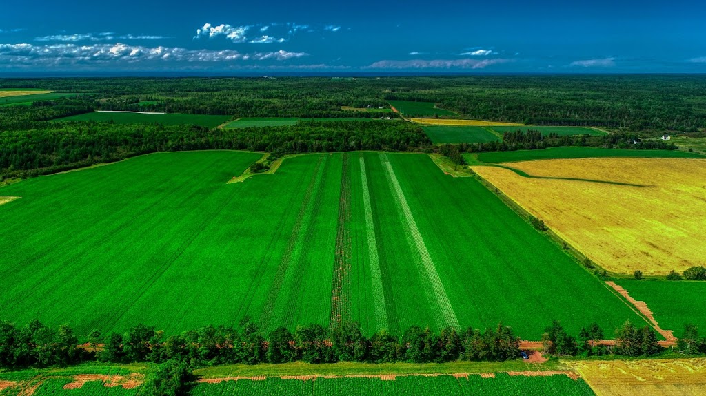 SKYGATE Videography Inc. | 50 Aerospace Blvd, Slemon Park, PE C0B 2A0, Canada | Phone: (902) 432-0651