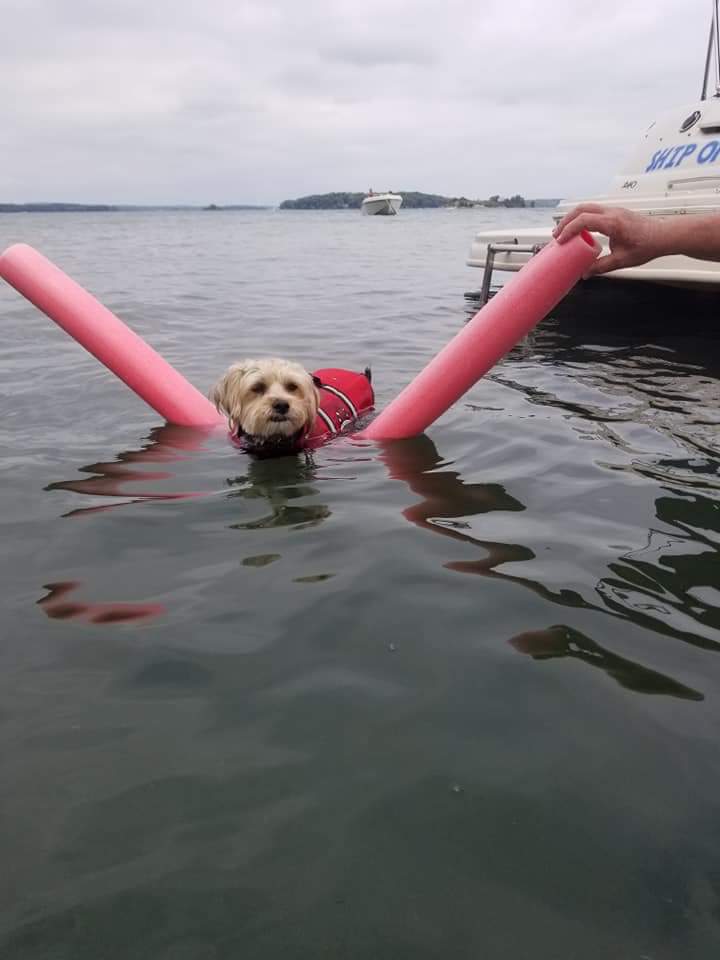 Canoe Point State Park | Clayton, NY 13624, USA | Phone: (315) 686-3048