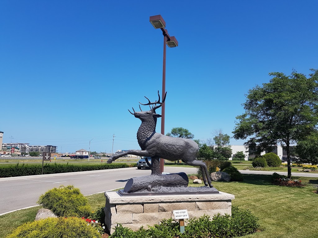 John Deere | 295 Hunter Rd, Grimsby, ON L3M 4H5, Canada | Phone: (905) 945-9281
