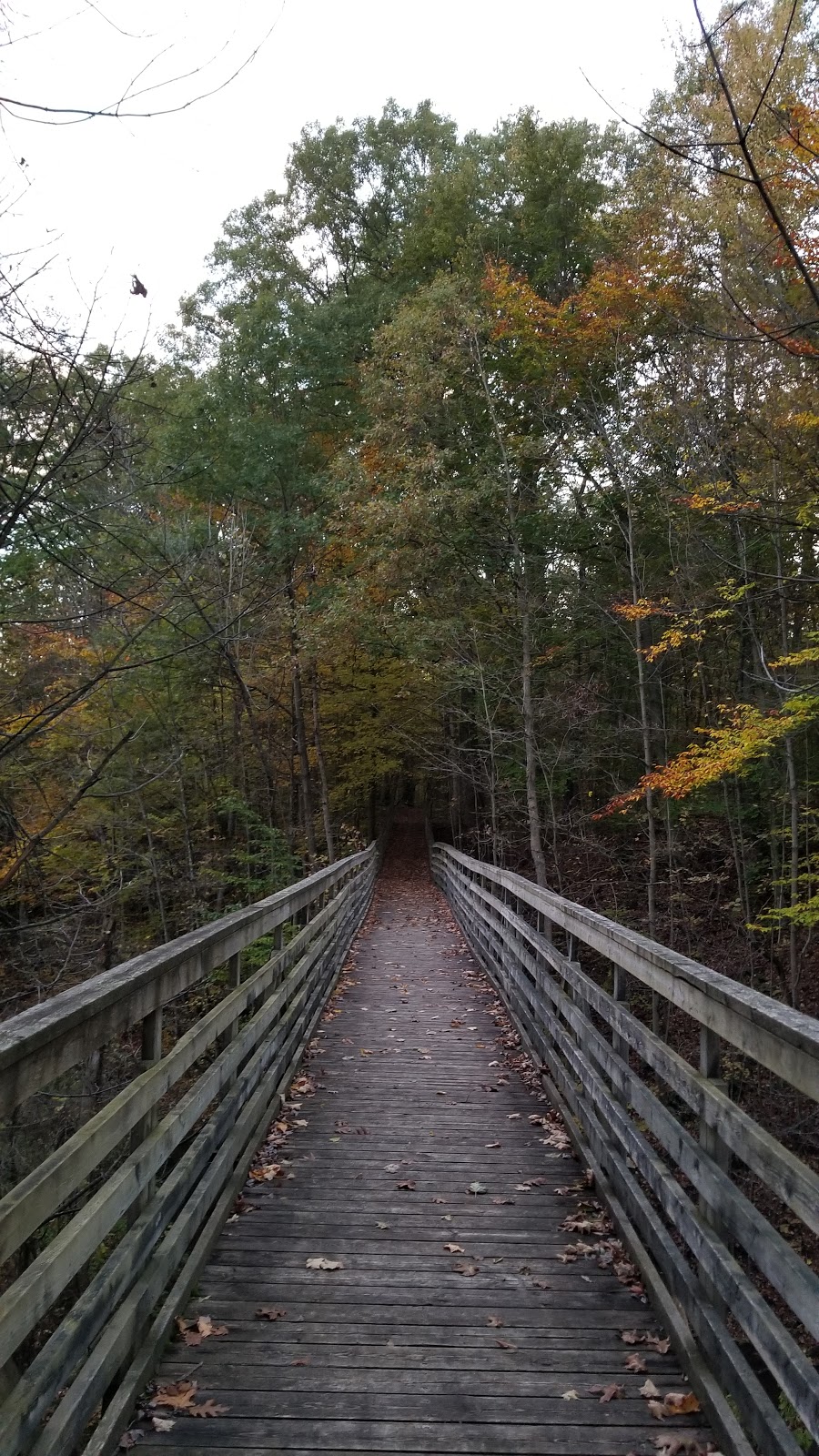 SkaNahDoht Village and Museum 8348 Longwoods Rd, Mount Brydges, ON