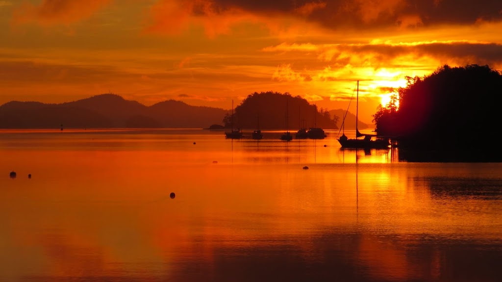 Tanya Stewart Real Estate - RE/MAX Salt Spring | 150 Fulford-Ganges Rd #104, Salt Spring Island, BC V8K 2T8, Canada | Phone: (250) 221-3396