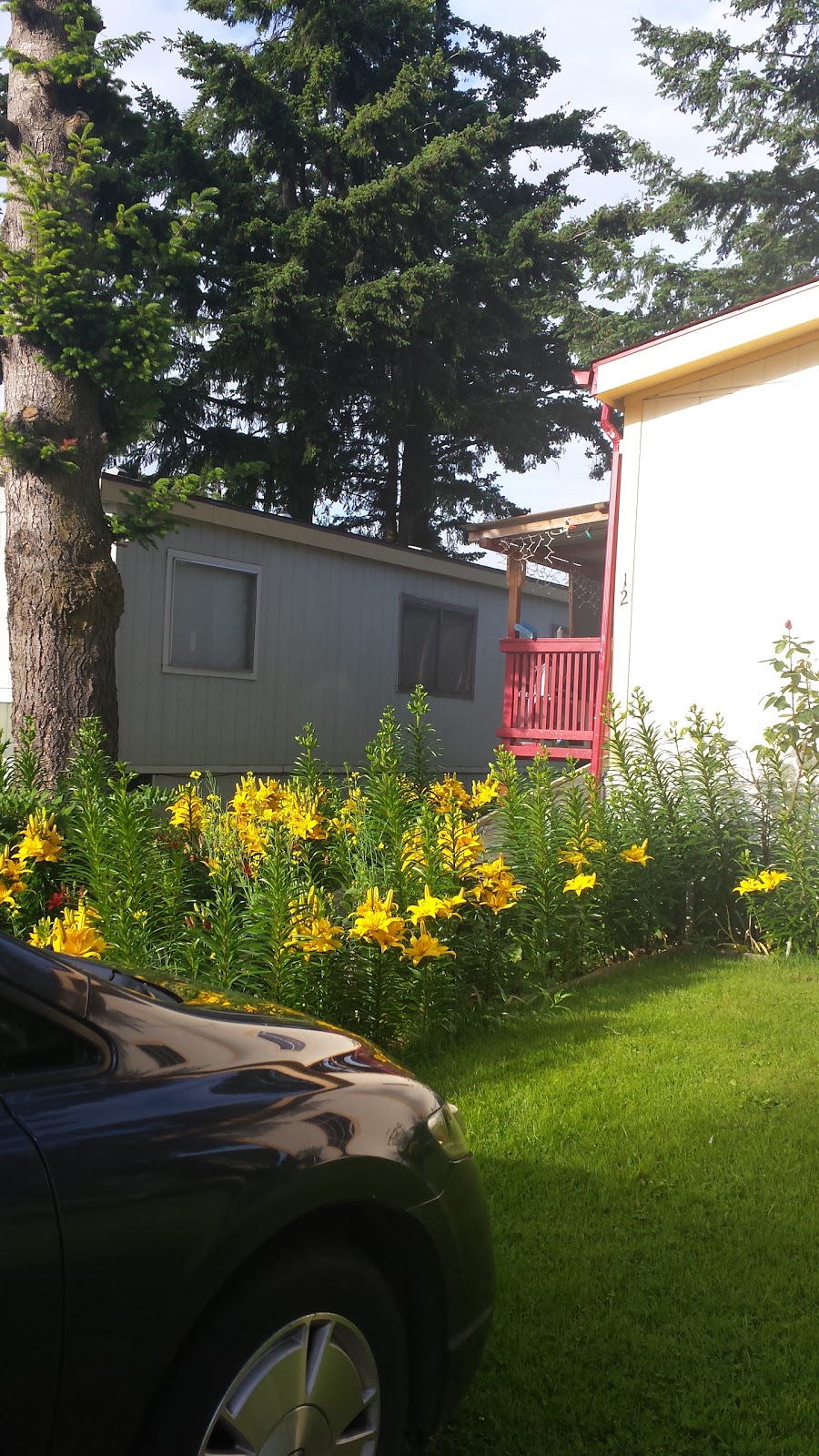 Larsen Mobile Manor | 1014 W Smith Rd, Bellingham, WA 98226, USA | Phone: (360) 676-8341